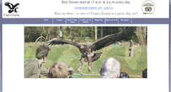 Desktop Screenshot of eaglesflying.com