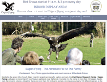 Tablet Screenshot of eaglesflying.com